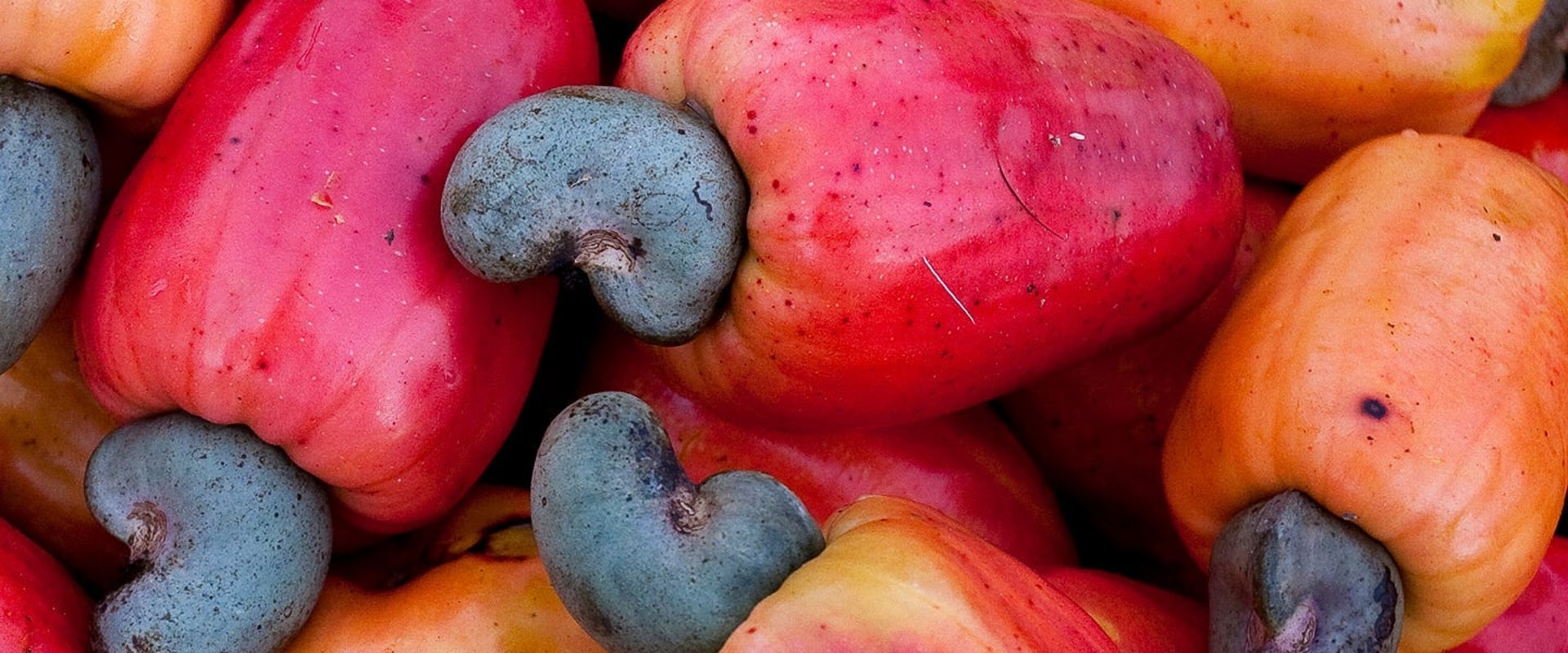 Why are cashews the most expensive nut?